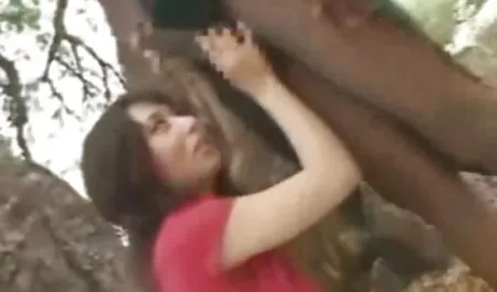 Gadis di stoking bokep indo terbaru cantik menyerah kepada dua pria di halaman