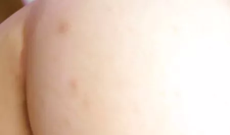 Woodman semua melakukan anal video bokeb bokeb youtube indonesia 2017 terbaru